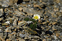 BUITEN BEELD Foto: 445897