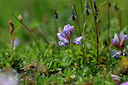 BUITEN BEELD Foto: 445898