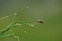 BUITEN BEELD Foto: 445901