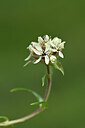 BUITEN BEELD Foto: 445903