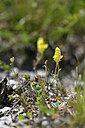BUITEN BEELD Foto: 445904
