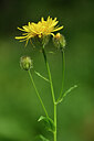 BUITEN BEELD Foto: 445905