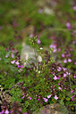 BUITEN BEELD Foto: 445906