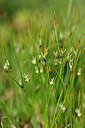 BUITEN BEELD Foto: 445910