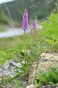 BUITEN BEELD Foto: 445911