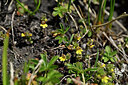 BUITEN BEELD Foto: 445914