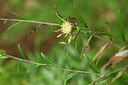 BUITEN BEELD Foto: 445916