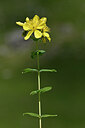 BUITEN BEELD Foto: 445921