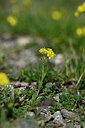 BUITEN BEELD Foto: 445922