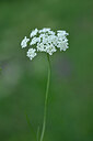 BUITEN BEELD Foto: 445924