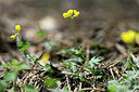 BUITEN BEELD Foto: 445927