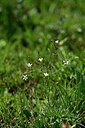 BUITEN BEELD Foto: 445937