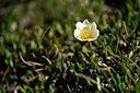 BUITEN BEELD Foto: 445940