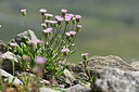 BUITEN BEELD Foto: 445942