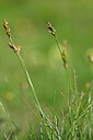 BUITEN BEELD Foto: 445944