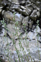 BUITEN BEELD Foto: 445960