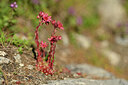 BUITEN BEELD Foto: 445964