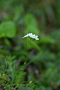 BUITEN BEELD Foto: 445968