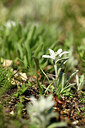 BUITEN BEELD Foto: 445972