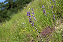 BUITEN BEELD Foto: 445973