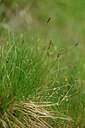 BUITEN BEELD Foto: 445975