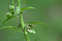 BUITEN BEELD Foto: 445981