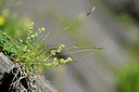 BUITEN BEELD Foto: 445982