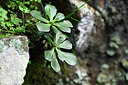 BUITEN BEELD Foto: 445984