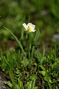 BUITEN BEELD Foto: 445987