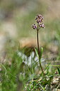 BUITEN BEELD Foto: 445989