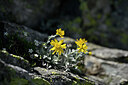 BUITEN BEELD Foto: 445992