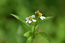 BUITEN BEELD Foto: 445993