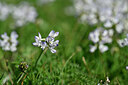 BUITEN BEELD Foto: 445998