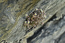 BUITEN BEELD Foto: 445999
