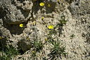 BUITEN BEELD Foto: 446002