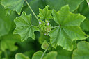 BUITEN BEELD Foto: 446003
