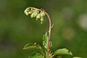 BUITEN BEELD Foto: 446005