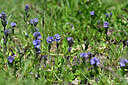 BUITEN BEELD Foto: 446007
