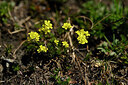 BUITEN BEELD Foto: 446017