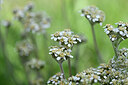 BUITEN BEELD Foto: 446018