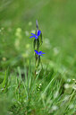 BUITEN BEELD Foto: 446019