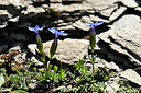 BUITEN BEELD Foto: 446020