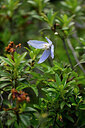 BUITEN BEELD Foto: 446021