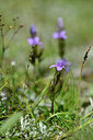 BUITEN BEELD Foto: 446027