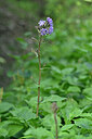 BUITEN BEELD Foto: 446029
