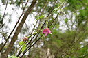 BUITEN BEELD Foto: 446031