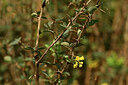 BUITEN BEELD Foto: 446032