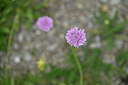 BUITEN BEELD Foto: 446033
