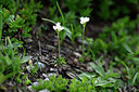 BUITEN BEELD Foto: 446035