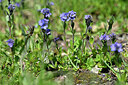 BUITEN BEELD Foto: 446038